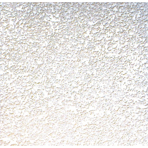 Placa de escayola para Techo Desmontable 60x60 cm... 2